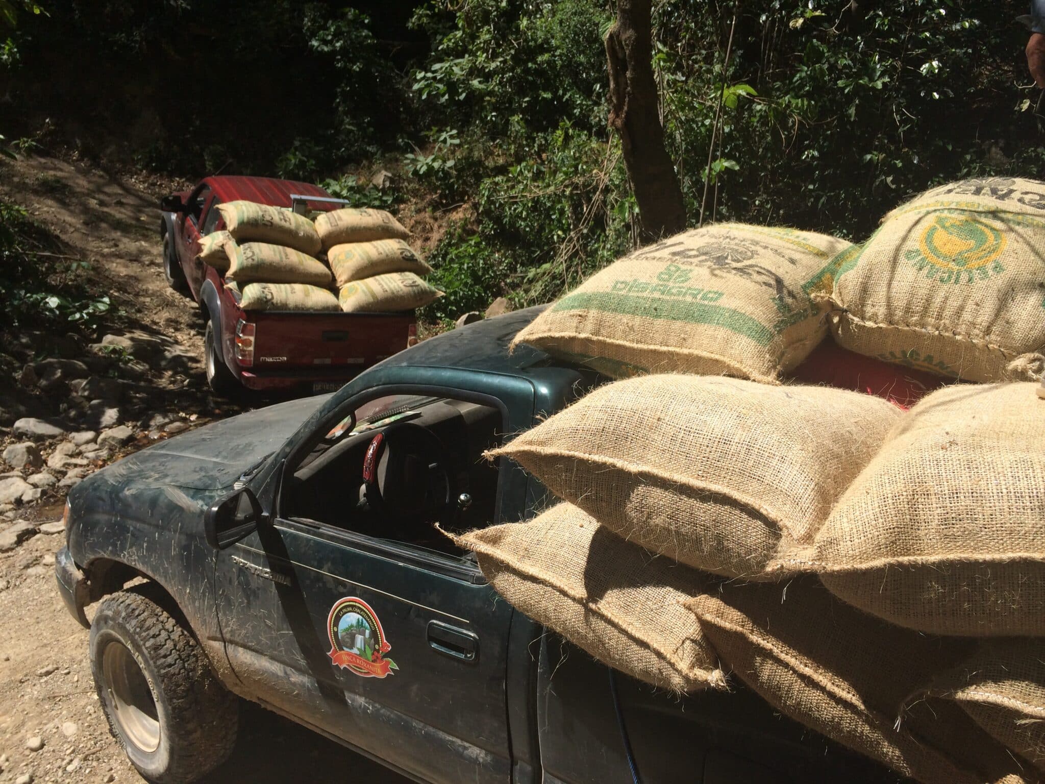 Transporting coffee at Peña Redonda