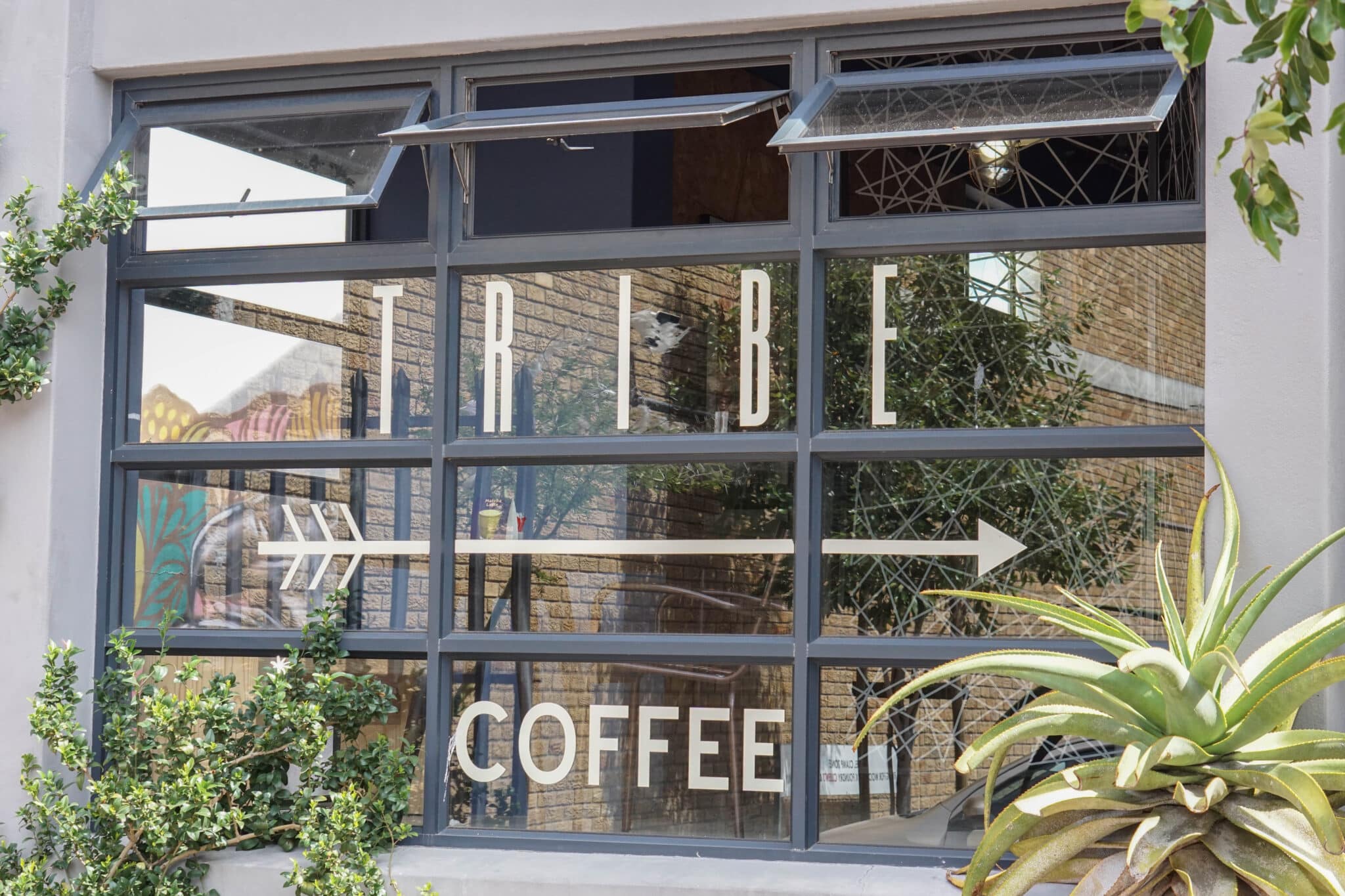 Tripe-Coffee-Roasting-Cape-Town-the-coffeevine-2