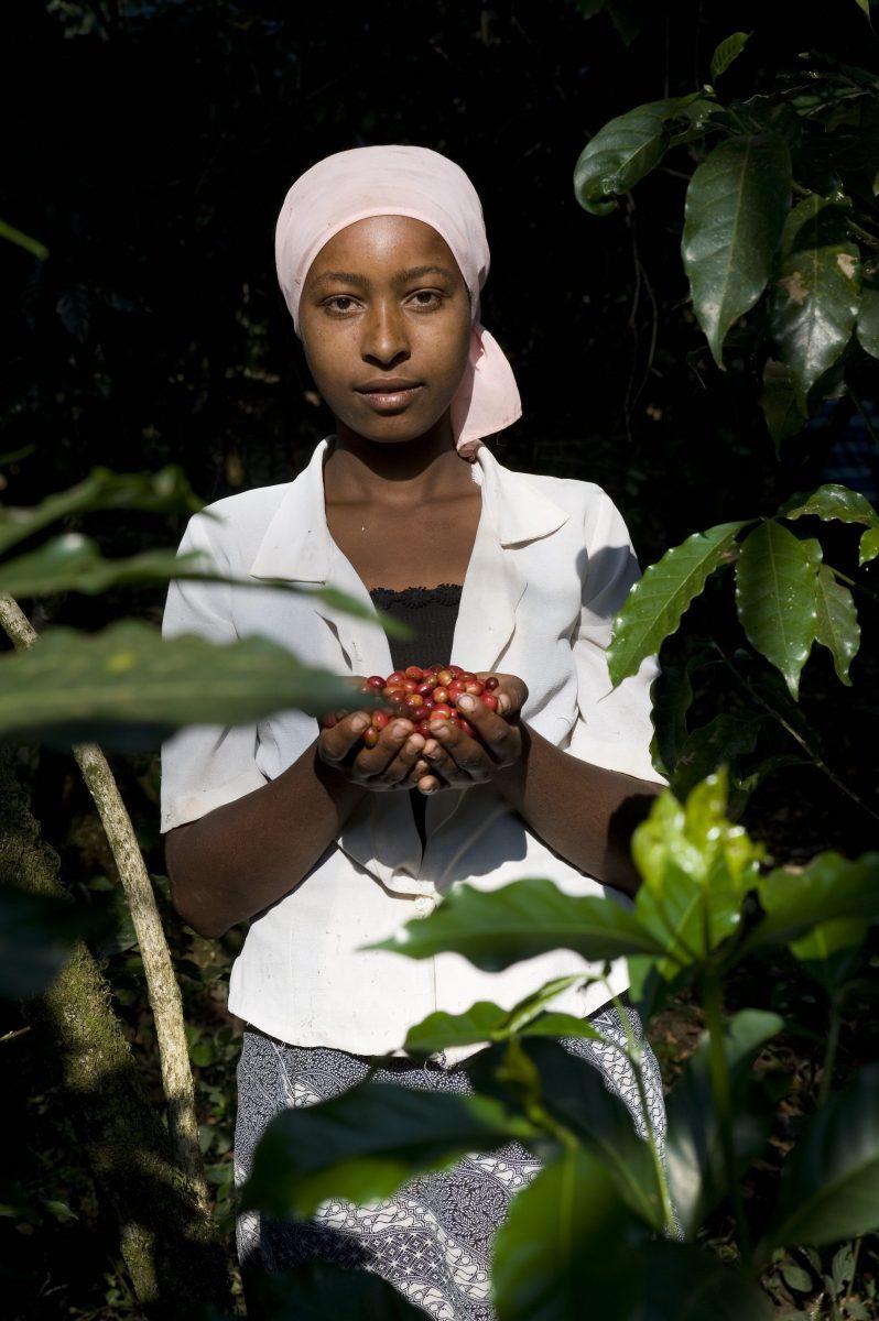 Ethiopia, District: Limu Kossa, Zone: Jimma, Village: Jimmate, 10 January 2010: