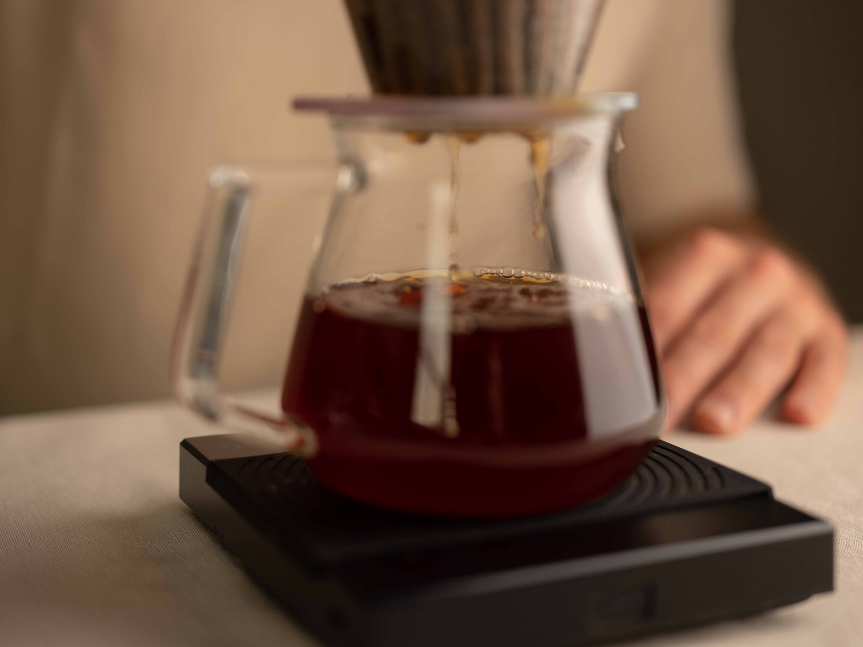 https://thecoffeevine.com/wp-content/uploads/2023/02/The-Coffeevine-February-2023-brew-guide-4.jpg