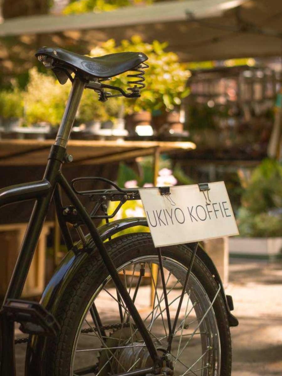 View of the back of a bike with plants in the background