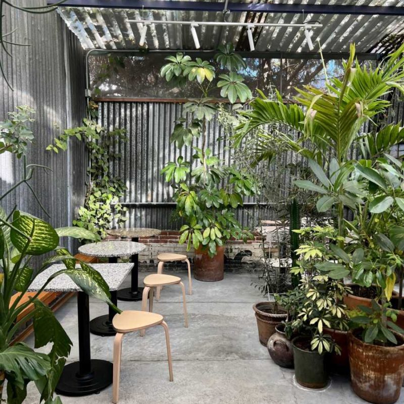 Plant filled patio