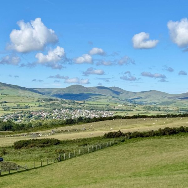 The-Coffeevine-isle-of-man-specialty-coffee-guide