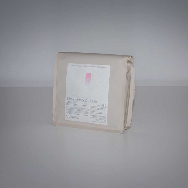 The-Coffeevine-March-2026-tribute1x1