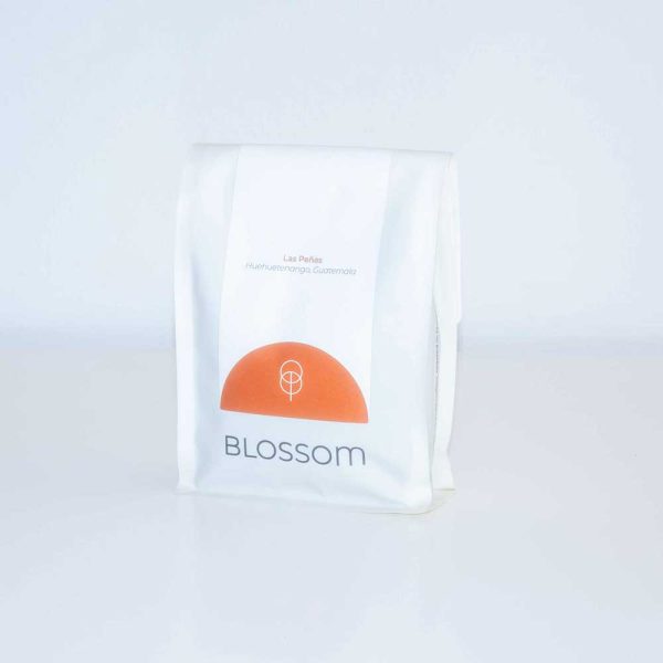 The-Coffeevine-September-2026-blossom-1x1