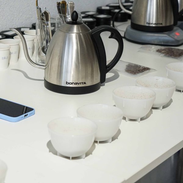 The-coffeevine-barcelona-cupping-2022